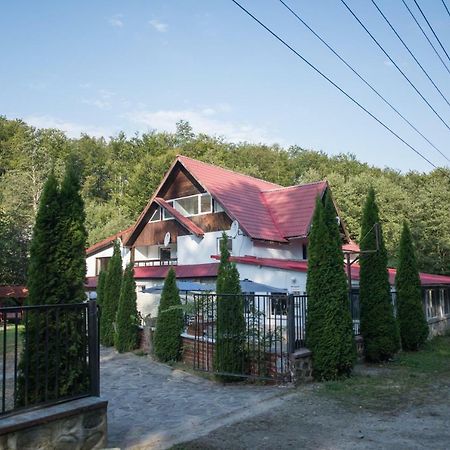 Popas Balea Rau Hotel Cartisoara Exterior photo