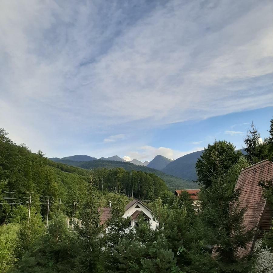 Popas Balea Rau Hotel Cartisoara Exterior photo