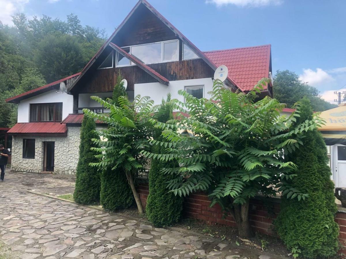 Popas Balea Rau Hotel Cartisoara Exterior photo