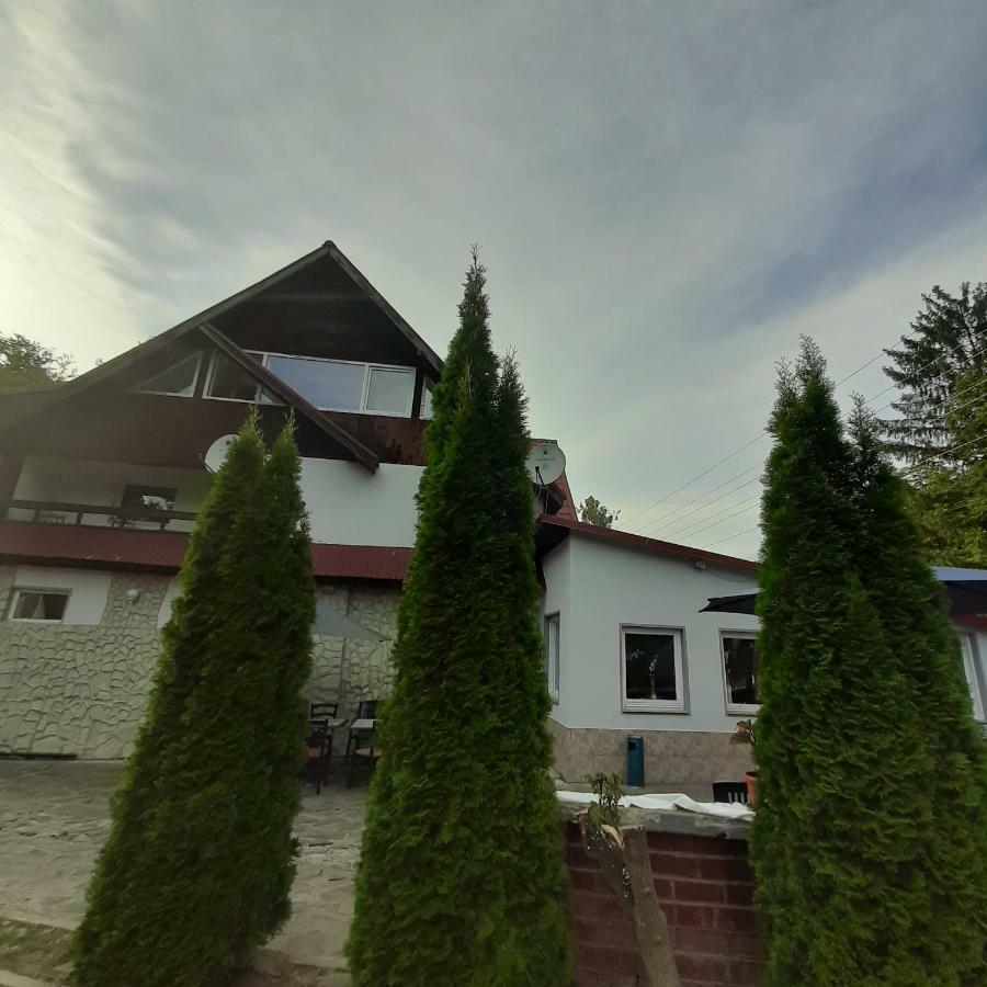 Popas Balea Rau Hotel Cartisoara Exterior photo