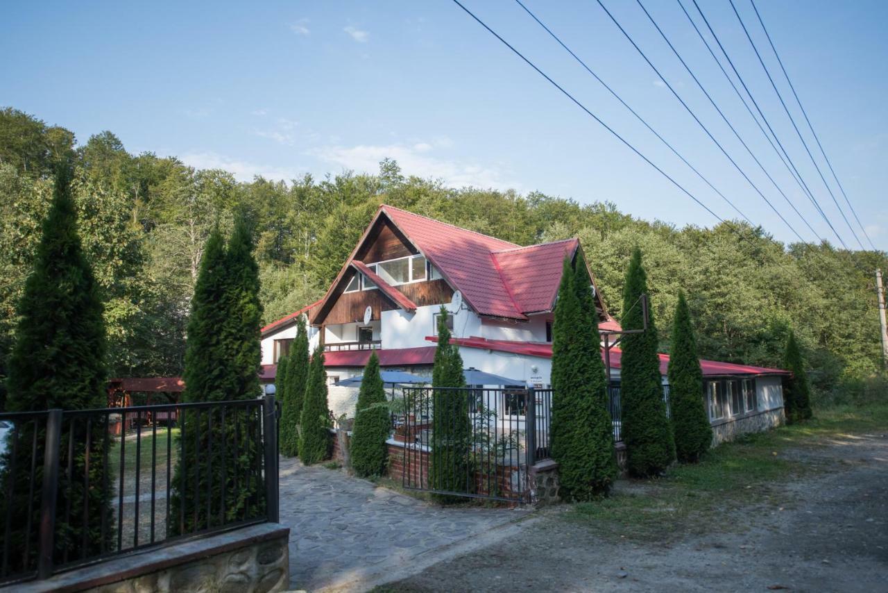 Popas Balea Rau Hotel Cartisoara Exterior photo